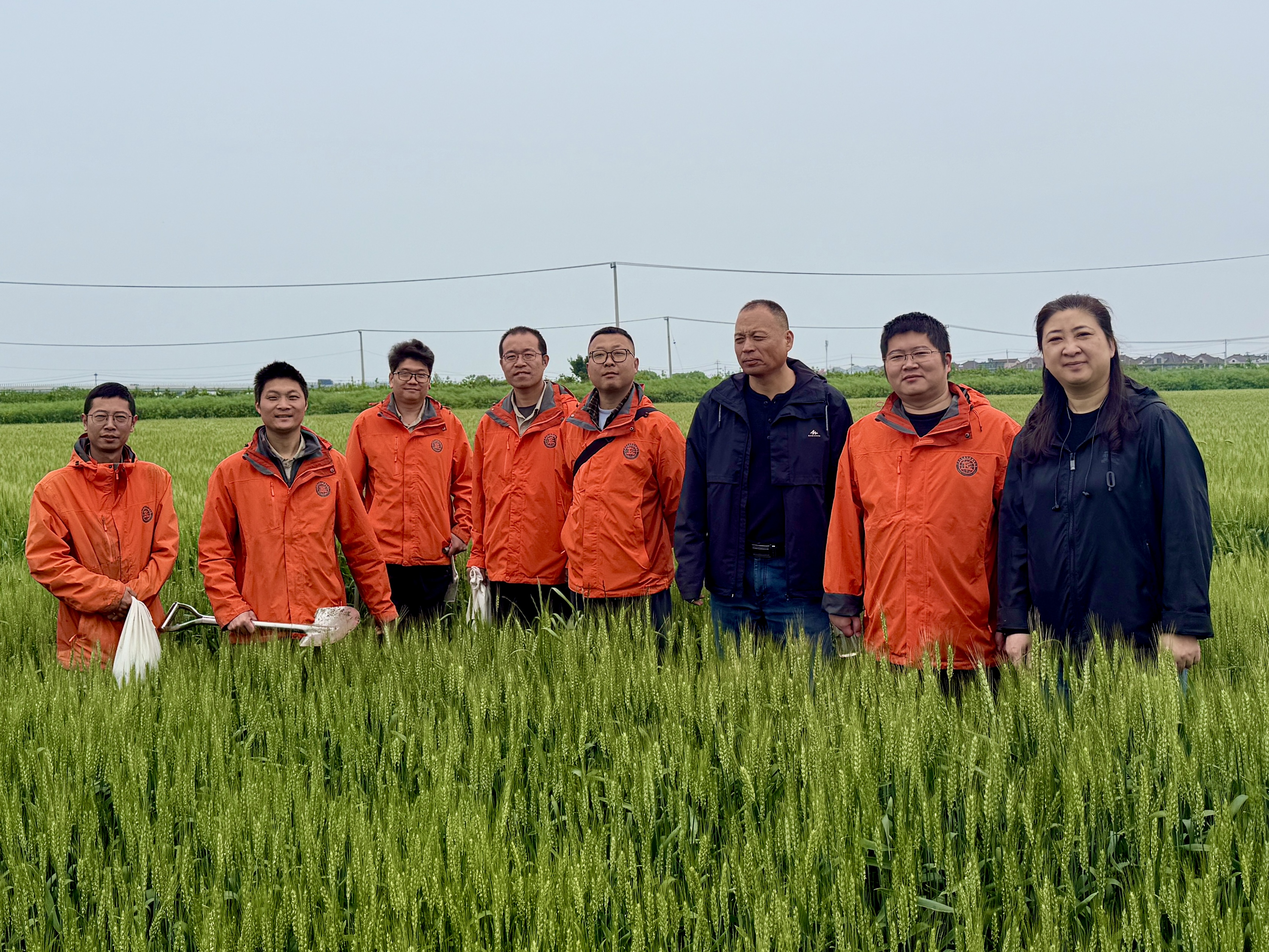 廉政安全双督查 党建引领促发展